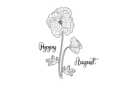 August Poppy Embroidery: A Detailed Review