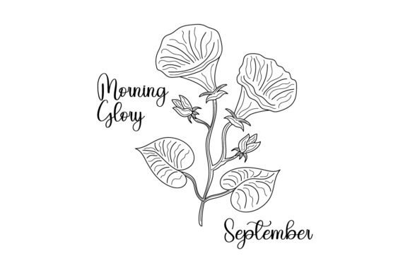 September Morning Glory: A Charming Embroidery Design