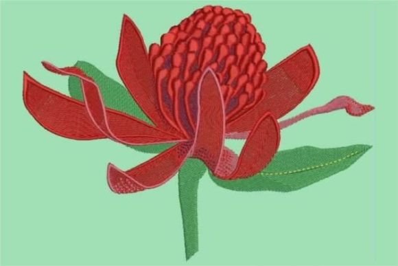 Waratah: A Bold and Vibrant Embroidery Design